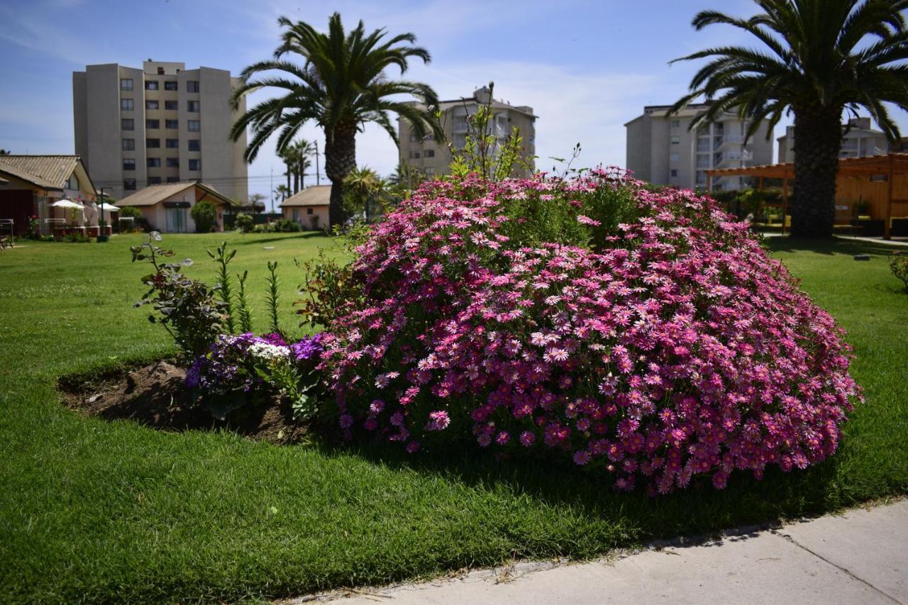 Apart Hotel Y Cabanas Vegasur La Serena Exterior foto